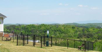 Dog park